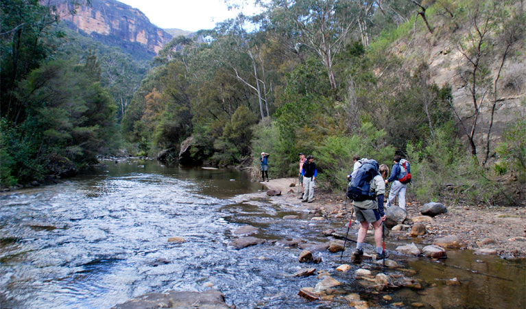 Blue Gum Walk