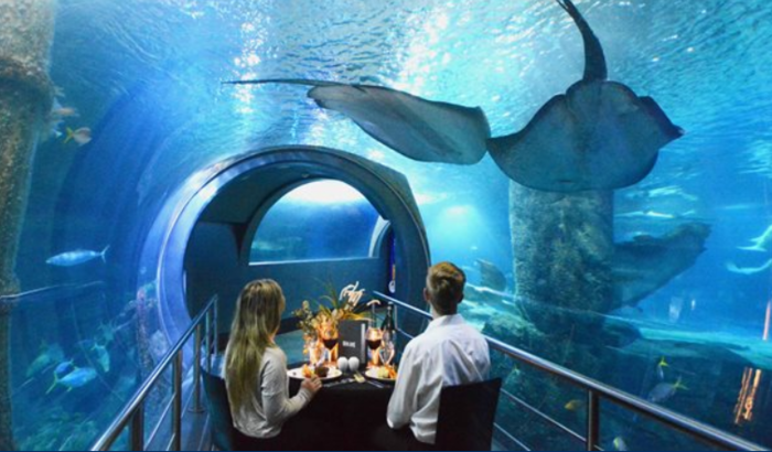 海底世界主题餐厅