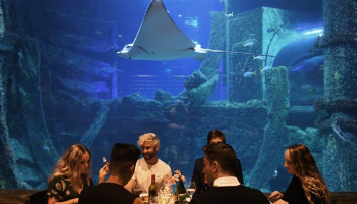 海底世界主题餐厅