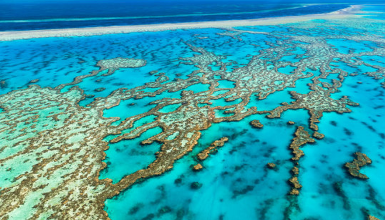大堡礁（Great Barrier Reef）全長有2300公里
