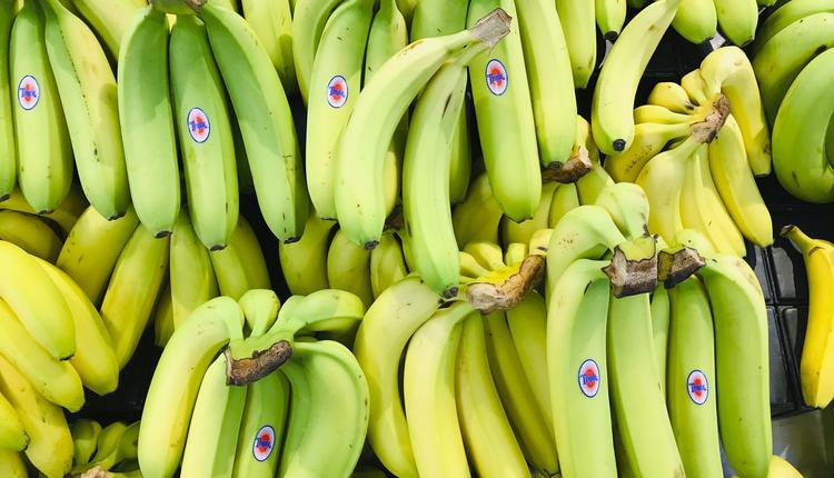 水果 香蕉 banana