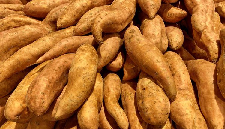土豆 红薯 sweet potato