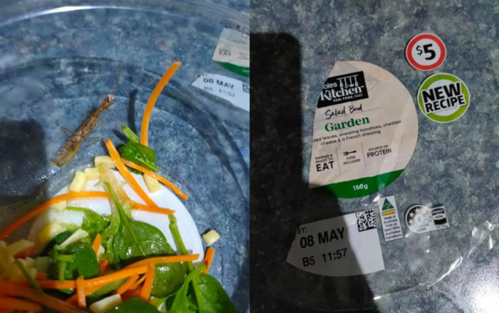 Coles沙拉碗中惊现昆虫 澳洲孕妇吃到一半才发现！