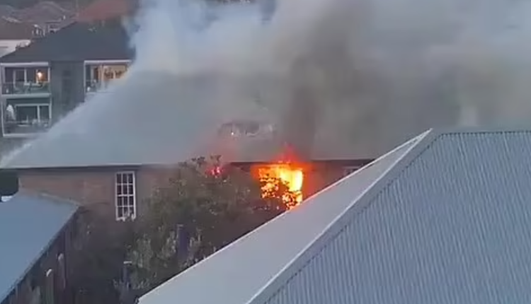 悉尼小学发生火灾 学生被紧急疏散