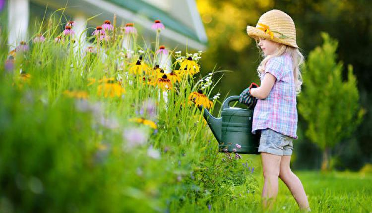 戶外活動，小女孩，春季，花園，澆花