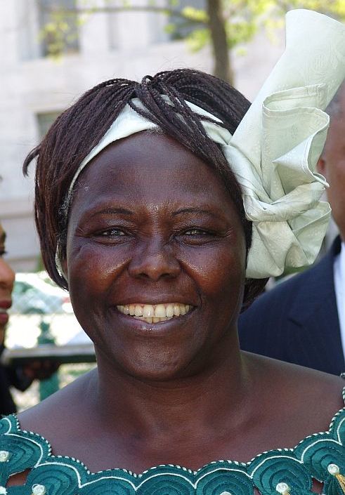 肯尼亞的社會活動家馬塔伊 （Wangari Mathai）