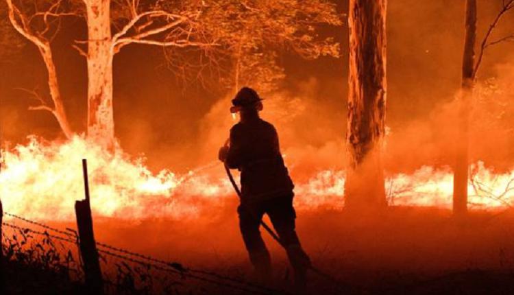 澳洲，丛林大火，消防员