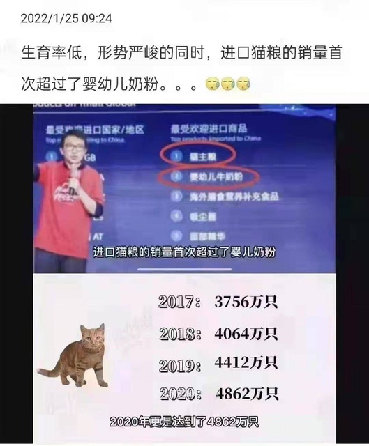 中国宠物用品销量暴涨