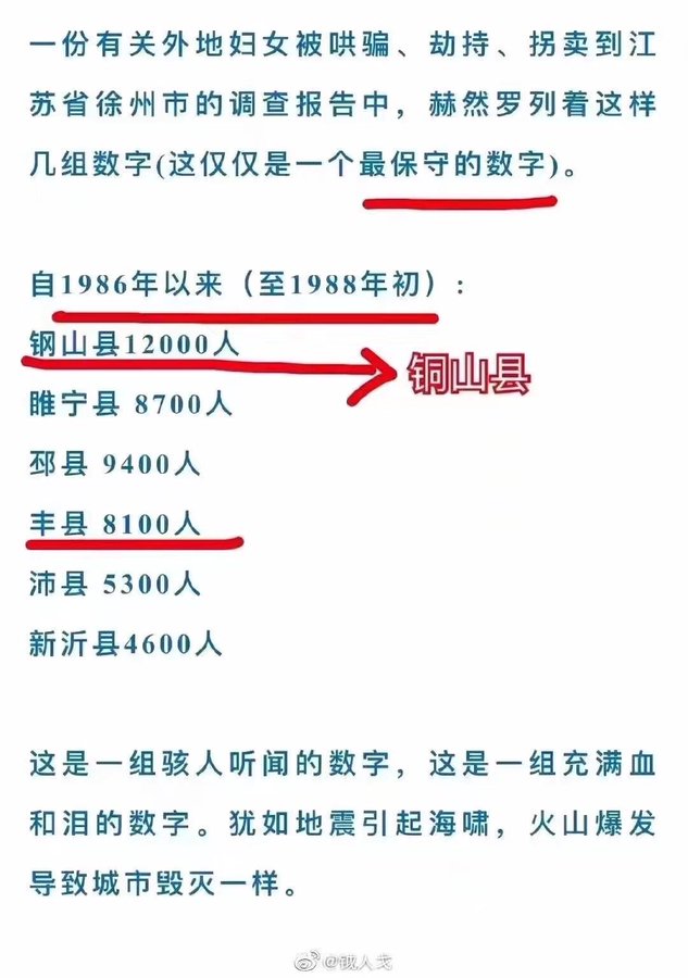 網曝鐵鏈女李瑩被拐路線圖 橫跨5省婦女拐賣網