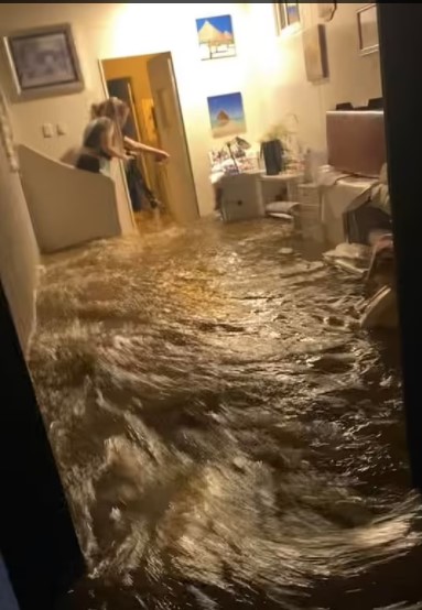 新州洪水，悉尼水灾