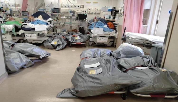 香港屍體與病人共處一室