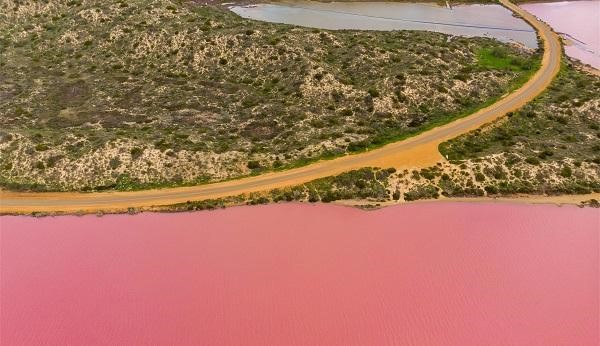 Geraldton的粉色湖泊（圖片來源：小紅書截圖）
