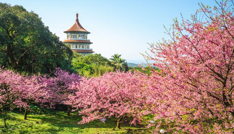 新北淡水無極天元宮 台灣