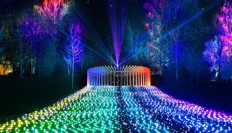 2023 Vivid Sydney,Lightscape,灯光,皇家植物园,悉尼灯光节
