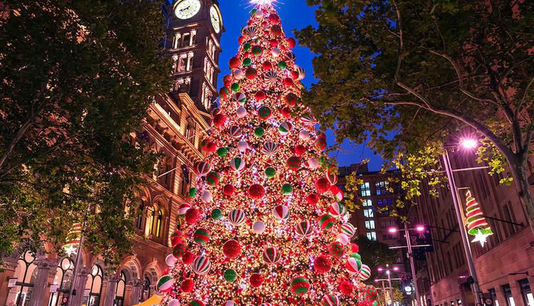 圣诞,悉尼,圣诞树,圣诞彩灯,灯饰,灯光秀