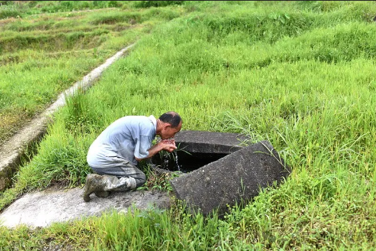 網絡圖片