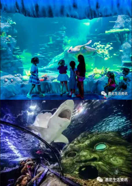 悉尼水族馆