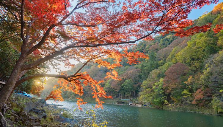 奥本植物园