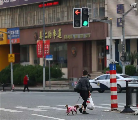 上海：61天，61人