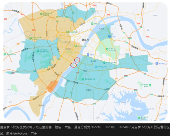 「苕蘿蔔」占比不到1%，武漢司機為何慌了？