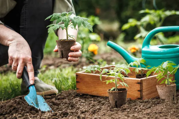 gardening