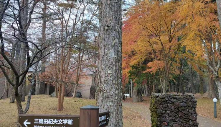 在日本「邂逅」三島由紀夫