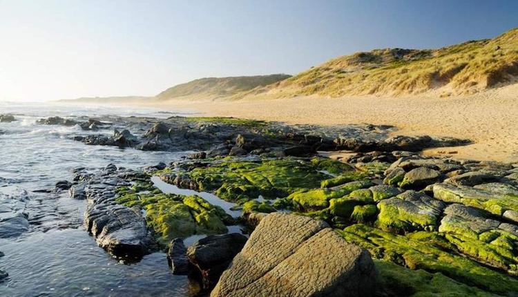 Bunurong Marine National Park